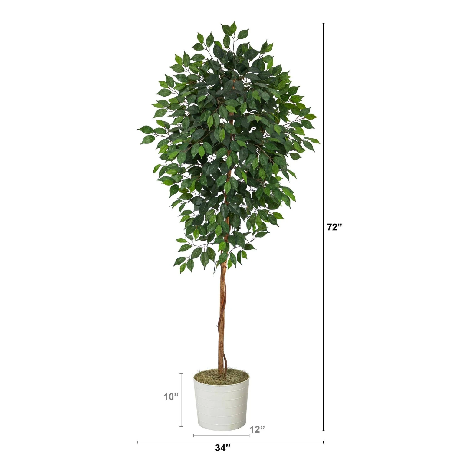 6’ Ficus Artificial Tree In White Tin Planter 4 6’ Ficus Artificial Tree In White Tin Planter - Image 2