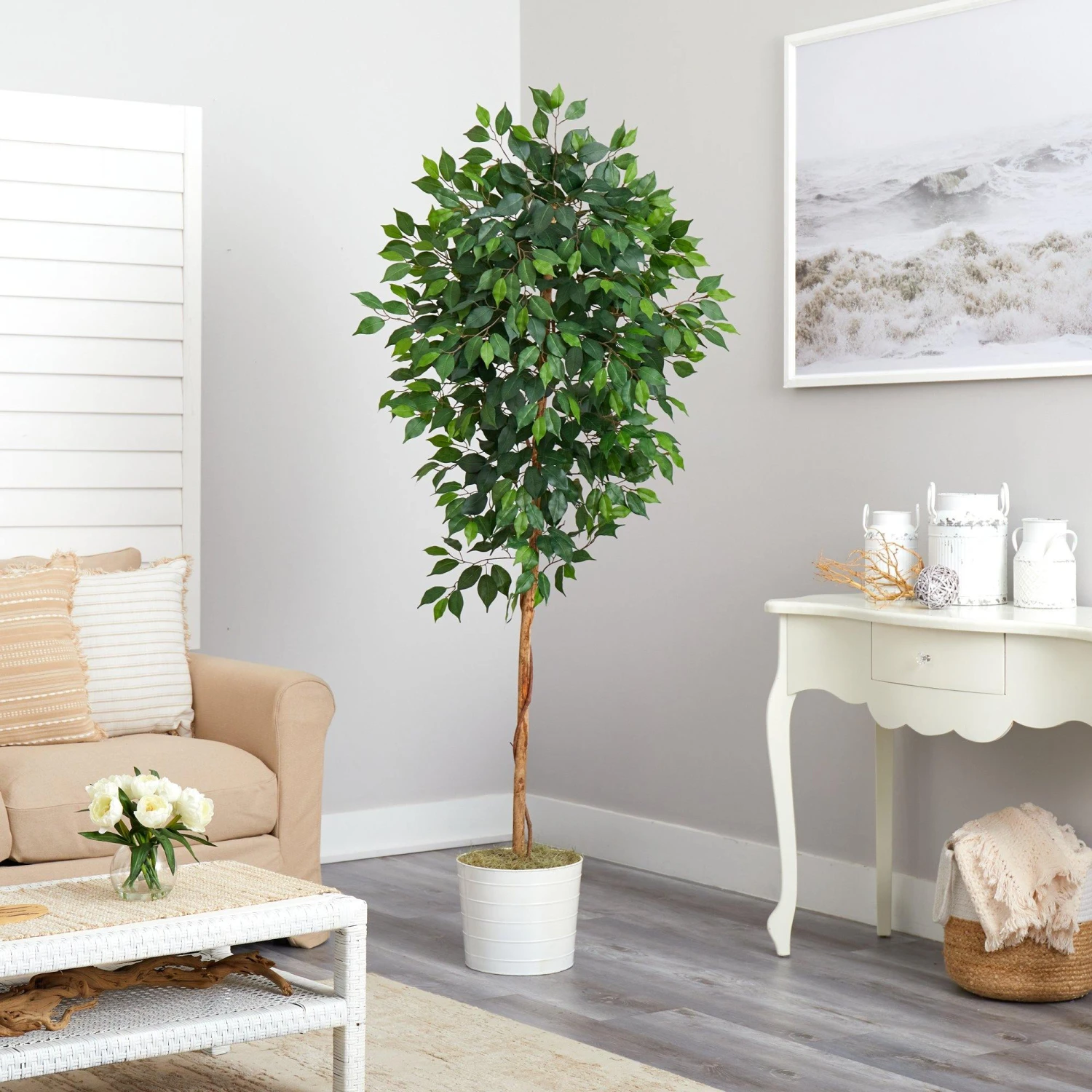 6’ Ficus Artificial Tree In White Tin Planter 6 6’ Ficus Artificial Tree In White Tin Planter - Image 4
