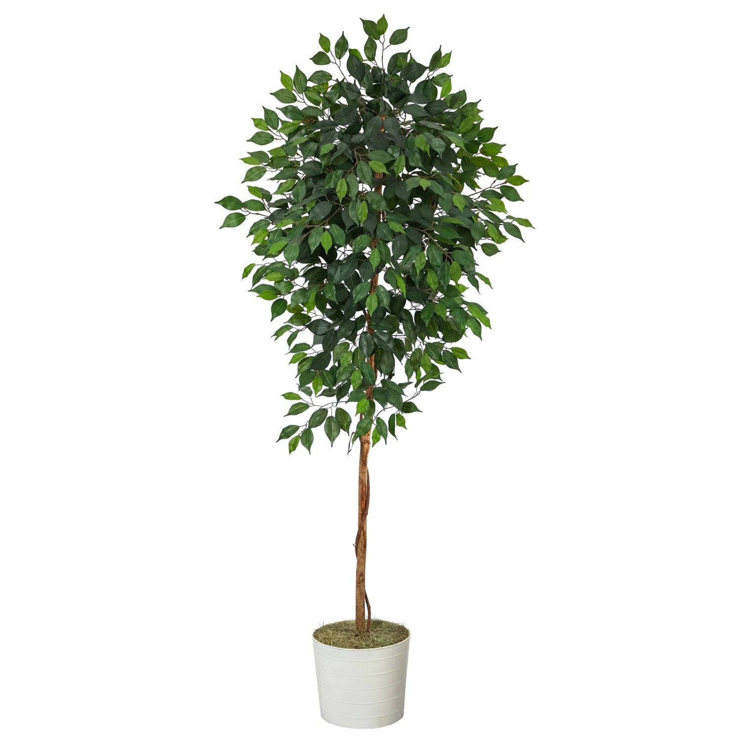 6’ Ficus Artificial Tree In White Tin Planter 3 6’ Ficus Artificial Tree In White Tin Planter