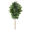 6’ Ficus Artificial Tree (No Pot) 1 6’ Ficus Artificial Tree (No Pot) -Artificial Flowers Sale artificial 6 ficus artificial tree no pot nearly natural 693286