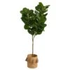 6’ Fiddle Leaf Fig Artificial Tree In Handmade Natural Jute Planter With Tassels 2 6’ Fiddle Leaf Fig Artificial Tree In Handmade Natural Jute Planter With Tassels -Artificial Flowers Sale artificial 6 fiddle leaf fig artificial tree in handmade natural jute planter with tassels nearly natural 439082