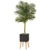 6’ Artificial Golden Cane Palm Tree In Black Planter With Stand -Artificial Flowers Sale artificial 6 golden cane artificial palm tree in black planter with stand nearly natural 357752