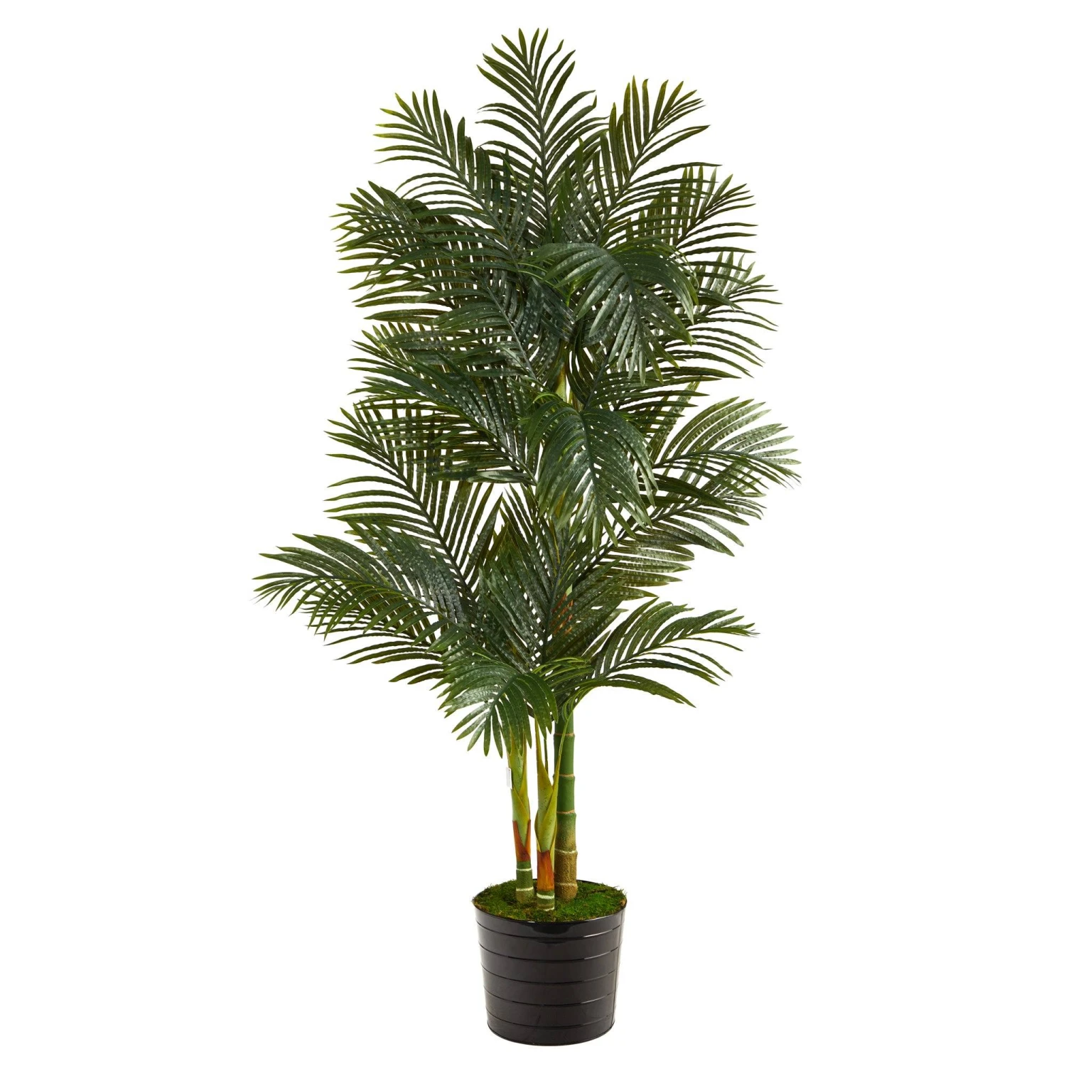 6’ Golden Cane Artificial Palm Tree In Black Tin Planter 3 6’ Golden Cane Artificial Palm Tree In Black Tin Planter