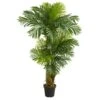 6’ Hawaii Artificial Palm 2 6’ Hawaii Artificial Palm -Artificial Flowers Sale artificial 6 hawaii artificial palm nearly natural 695669