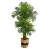6’ Hawaii Artificial Palm Tree In Handmade Natural Cotton Planter -Artificial Flowers Sale artificial 6 hawaii artificial palm tree in handmade natural cotton planter nearly natural 868213