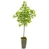 6’ Lemon Artificial Tree In Olive Green Planter -Artificial Flowers Sale artificial 6 lemon artificial tree in olive green planter nearly natural 207037