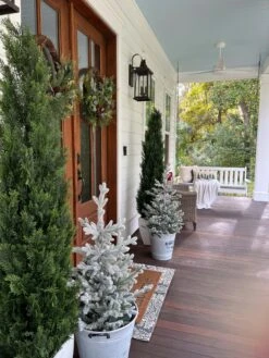 6' Mini Cedar Pine Tree (Indoor/Outdoor) -Artificial Flowers Sale artificial 6 mini cedar pine tree indooroutdoor nearly natural 744718