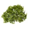6” Moss Artificial Bush Flower (Set Of 12) 2 6” Moss Artificial Bush Flower (Set Of 12) -Artificial Flowers Sale artificial 6 moss artificial bush flower set of 12 nearly natural 503544