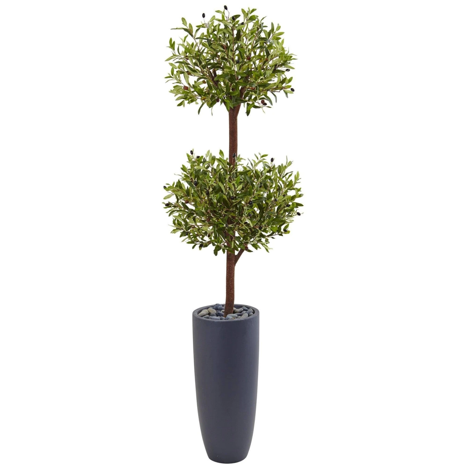 6’ Olive Double Tree In Gray Cylinder Planter 3 6’ Olive Double Tree In Gray Cylinder Planter