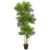 6’ Phoenix Palm Artificial Tree -Artificial Flowers Sale artificial 6 phoenix palm artificial tree nearly natural 884296