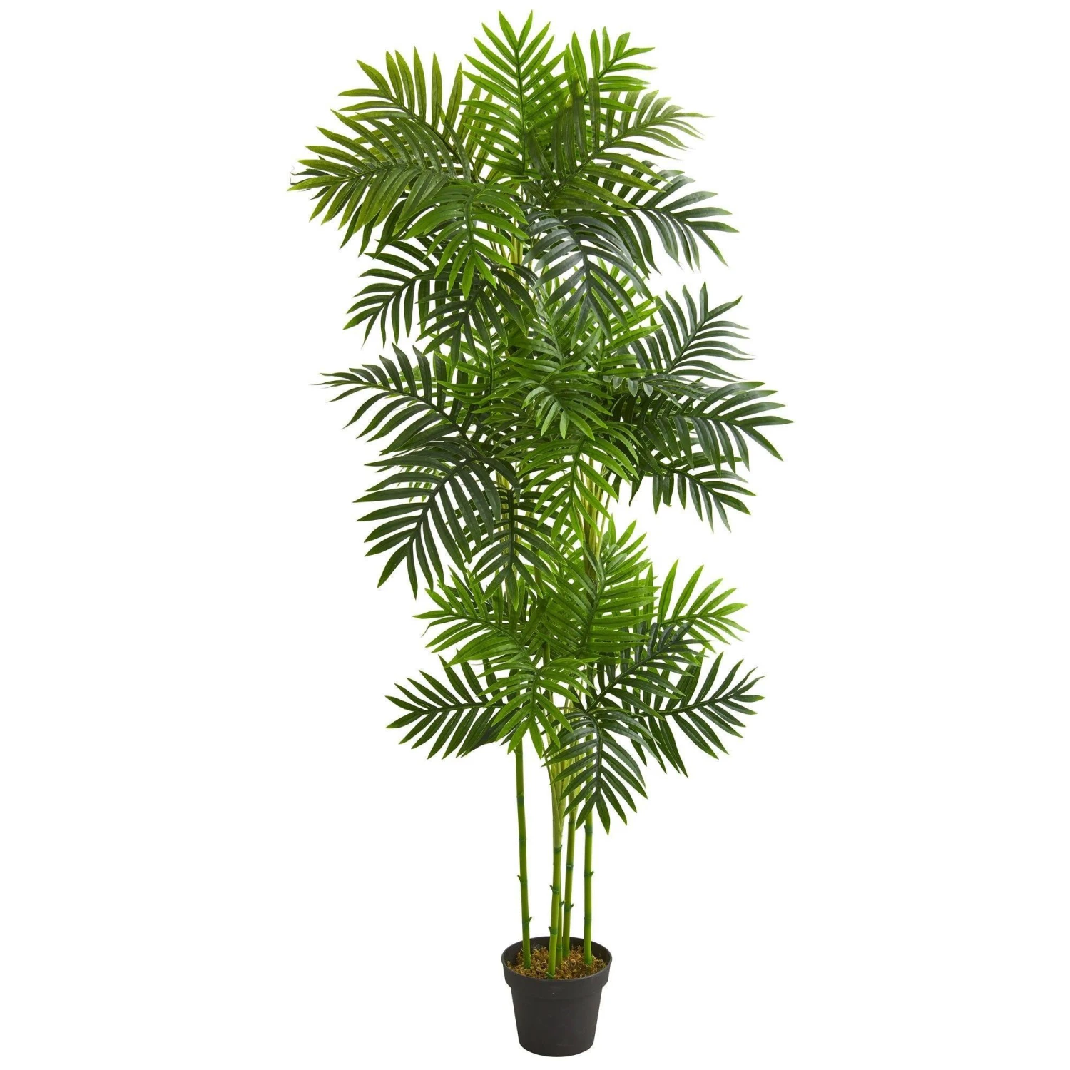 6’ Phoenix Palm Artificial Tree 3 6’ Phoenix Palm Artificial Tree