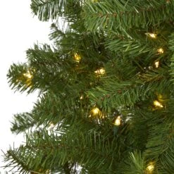6' Springfield Artificial Christmas Tree With 300 Warm Clear Lights And 596 Tips 11 6' Springfield Artificial Christmas Tree With 300 Warm Clear Lights And 596 Tips -Artificial Flowers Sale artificial 6 springfield artificial christmas tree with 300 warm clear lights and 596 tips nearly natural 437625