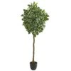 6” Variegated Aralia Artificial Tree -Artificial Flowers Sale artificial 6 variegated aralia artificial tree nearly natural 751910