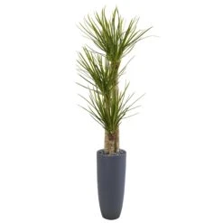 6’ Yucca Artificial Tree In Bullet Planter