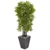 61” Bamboo Artificial Tree With Black Trunks In Slate Planter (Indoor/Outdoor) -Artificial Flowers Sale artificial 61 bamboo artificial tree with black trunks in slate planter uv resistant indooroutdoor nearly natural 217496