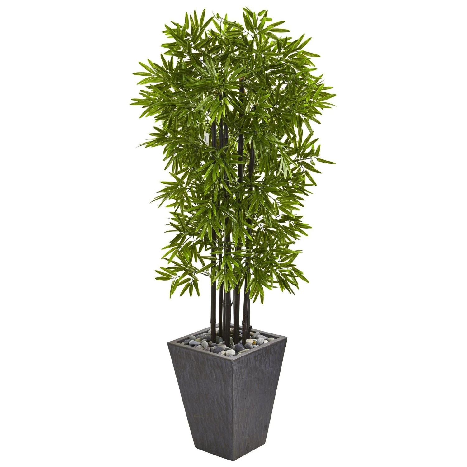 61” Bamboo Artificial Tree With Black Trunks In Slate Planter (Indoor/Outdoor) 3 61” Bamboo Artificial Tree With Black Trunks In Slate Planter (Indoor/Outdoor)