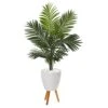 61” Paradise Palm Artificial Tree In White Planter With Stand 2 61” Paradise Palm Artificial Tree In White Planter With Stand -Artificial Flowers Sale artificial 61 paradise palm artificial tree in white planter with stand nearly natural 182915