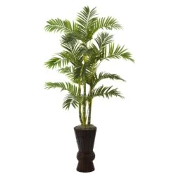62” Areca Tree W/Decorative Planter