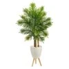63” Areca Artificial Palm Tree In White Planter With Stand (Real Touch) -Artificial Flowers Sale artificial 63 areca artificial palm tree in white planter with stand real touch nearly natural 222579