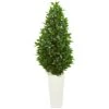 63” Bay Leaf Cone Topiary Artificial Tree In White Planter (Indoor/Outdoor) -Artificial Flowers Sale artificial 63 bay leaf cone topiary artificial tree in white planter uv resistant indooroutdoor nearly natural 404623
