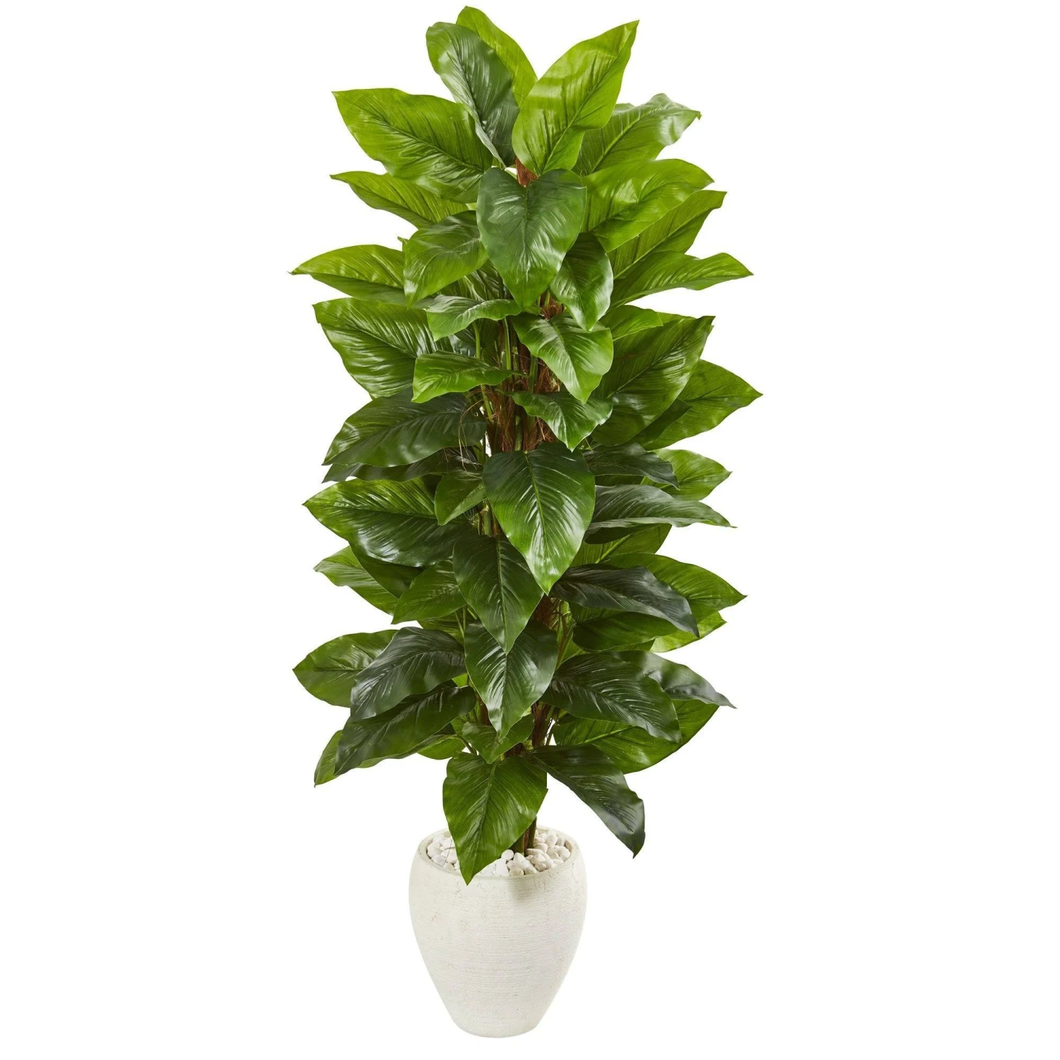 63” Large Leaf Philodendron Artificial Plant In White Planter (Real Touch) 3 63” Large Leaf Philodendron Artificial Plant In White Planter (Real Touch)