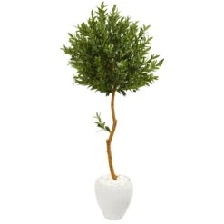 63” Olive Topiary Artificial Tree In White Planter (Indoor/Outdoor)