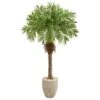 63” Robellini Palm Artificial Tree In Sandstone Planter 1 63” Robellini Palm Artificial Tree In Sandstone Planter -Artificial Flowers Sale artificial 63 robellini palm artificial tree in sandstone planter nearly natural 887832