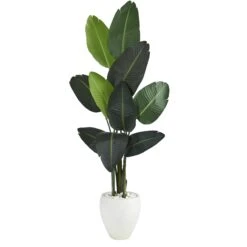 63” Traveler's Palm Artificial Tree In White Planter