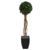 64” English Ivy Single Ball Artificial Topiary Tree In Black Planter (Indoor/Outdoor) 1 64” English Ivy Single Ball Artificial Topiary Tree In Black Planter (Indoor/Outdoor) -Artificial Flowers Sale artificial 64 english ivy single ball artificial topiary tree in black planter uv resistant indooroutdoor nearly natural 905203