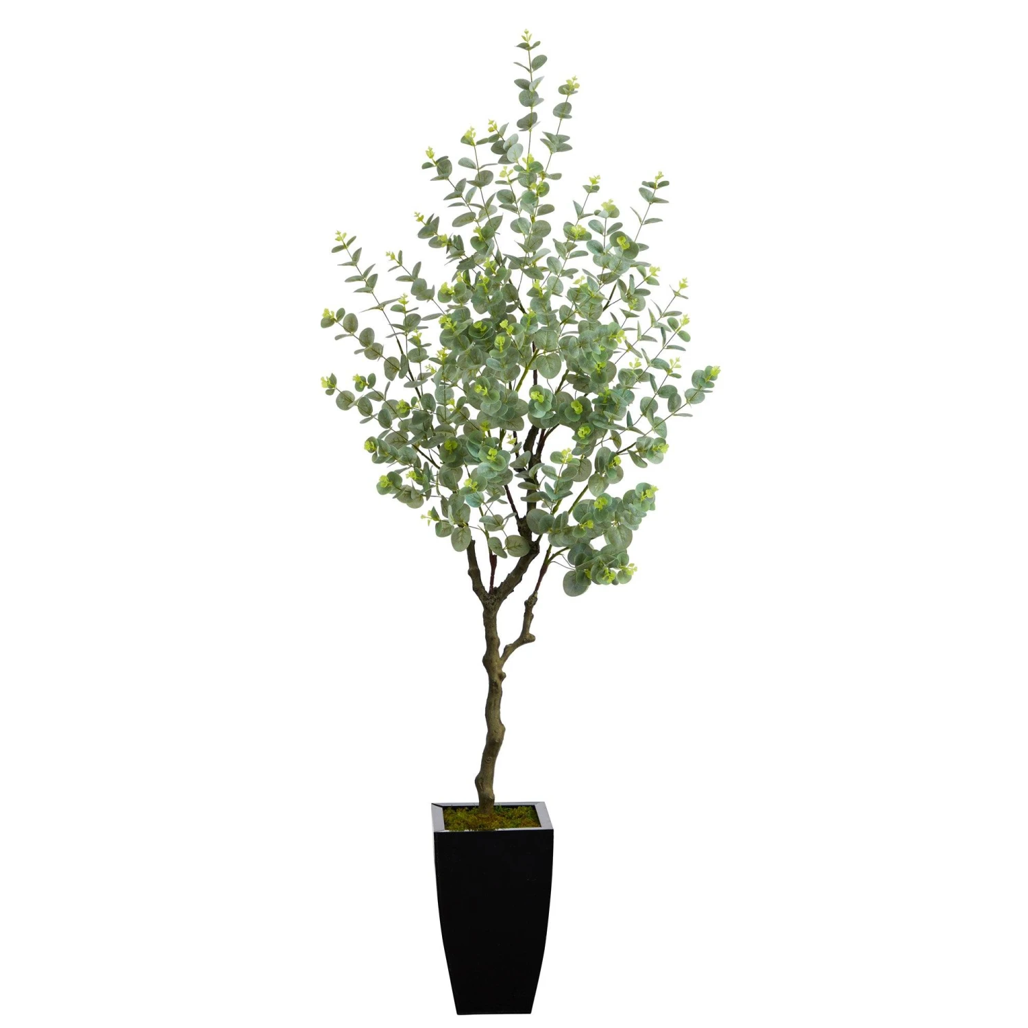 64” Eucalyptus Artificial Tree In Black Metal Planter 3 64” Eucalyptus Artificial Tree In Black Metal Planter