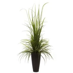 64” River Grass W/Planter (Indoor/Outdoor)