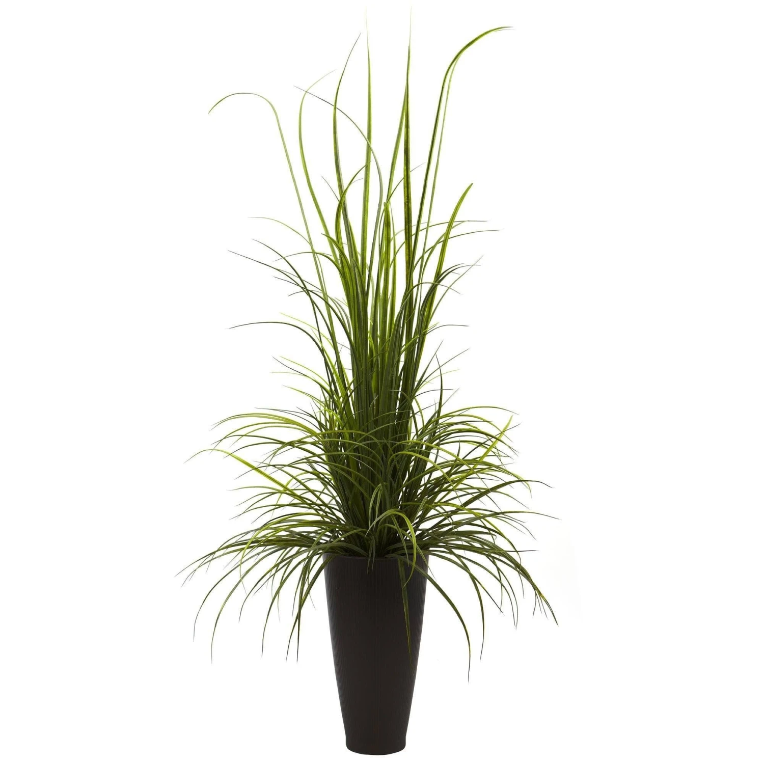 64” River Grass W/Planter (Indoor/Outdoor) 3 64” River Grass W/Planter (Indoor/Outdoor)