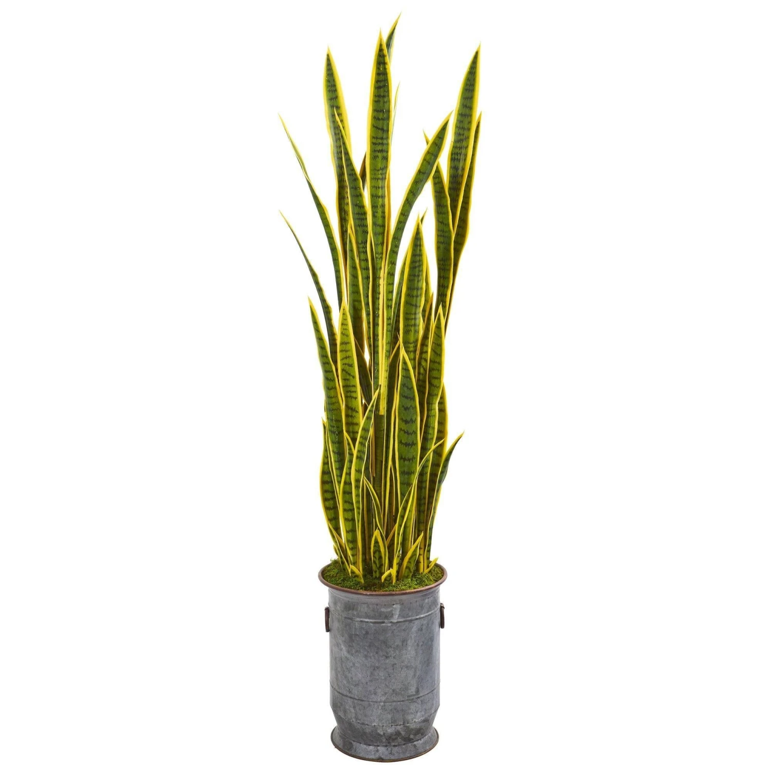 64” Sansevieria Artificial Plant In Metal Planter With Copper Trimming 3 64” Sansevieria Artificial Plant In Metal Planter With Copper Trimming