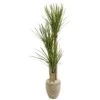 64” Yucca Artificial Tree In Sand Colored Planter -Artificial Flowers Sale artificial 64 yucca artificial tree in sand colored planter nearly natural 975510