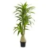 6.5' Dracaena Artificial Plant -Artificial Flowers Sale artificial 65 dracaena artificial plant nearly natural 622148
