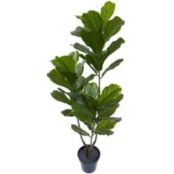 65” Fiddle Leaf Tree UV Resistant (Indoor/Outdoor) -Artificial Flowers Sale artificial 65 fiddle leaf tree uv resistant indooroutdoor nearly natural 612053