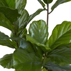 65” Fiddle Leaf Tree UV Resistant (Indoor/Outdoor) -Artificial Flowers Sale artificial 65 fiddle leaf tree uv resistant indooroutdoor nearly natural 964529