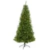 6.5’ Green Valley Fir Artificial Christmas Tree With 350 Clear LED Lights 1125 Bendable Branches 1 6.5’ Green Valley Fir Artificial Christmas Tree With 350 Clear LED Lights 1125 Bendable Branches -Artificial Flowers Sale artificial 65 green valley fir artificial christmas tree with 350 clear led lights 1125 bendable branches nearly natural 954308