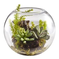 6.5” Mix Succulent Garden W/Glass Vase