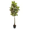 65” Variegated Rubber Leaf Artificial Tree (Real Touch) -Artificial Flowers Sale artificial 65 rubber leaf artificial tree real touch nearly natural 768906