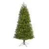 6.5' Vancouver Spruce Artificial Christmas Tree With 250 Warm White Lights And 803 Bendable Branches -Artificial Flowers Sale artificial 65 vancouver spruce artificial christmas tree with 250 warm white lights and 803 bendable branches nearly natural 541153