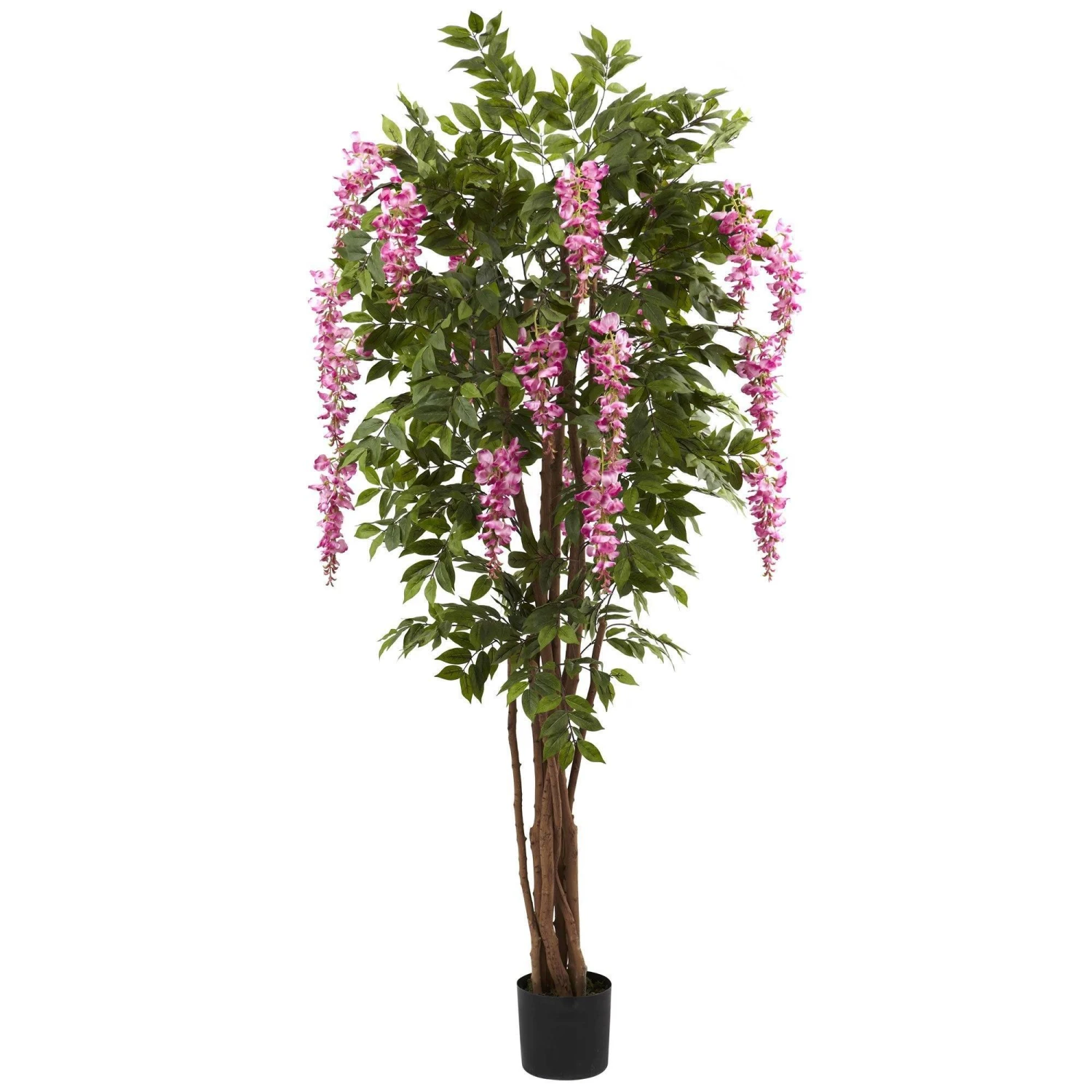 6.5’ Wisteria Silk Tree 3 6.5’ Wisteria Silk Tree