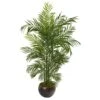66” Areca Palm Artificial Tree In Planter (Indoor/Outdoor) 2 66” Areca Palm Artificial Tree In Planter (Indoor/Outdoor) -Artificial Flowers Sale artificial 66 areca palm artificial tree in planter uv resistant indooroutdoor nearly natural 674383