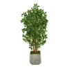 67” Black Olive Artificial Tree With 1365 Bendable Leaves In White Planter -Artificial Flowers Sale artificial 67 black olive artificial tree with 1365 bendable leaves in white planter nearly natural 845958