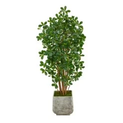 67” Black Olive Artificial Tree With 1365 Bendable Leaves In White Planter