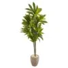 68” Dracaena Artificial Plant In Sand Colored Planter (Real Touch) 2 68” Dracaena Artificial Plant In Sand Colored Planter (Real Touch) -Artificial Flowers Sale artificial 68 dracaena artificial plant in sand colored planter real touch nearly natural 663816