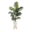 69” Kentia Artificial Palm Tree In White Planter With Stand -Artificial Flowers Sale artificial 69 kentia artificial palm tree in white planter with stand nearly natural 797139