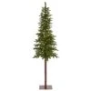 7’ Alaskan Alpine Artificial Christmas Tree With 150 Clear Microdot (Multifunction) LED Lights And 165 Bendable Branches 2 7’ Alaskan Alpine Artificial Christmas Tree With 150 Clear Microdot (Multifunction) LED Lights And 165 Bendable Branches -Artificial Flowers Sale artificial 7 alaskan alpine artificial christmas tree with 150 clear microdot multifunction led lights and 1 nearly natural 770606