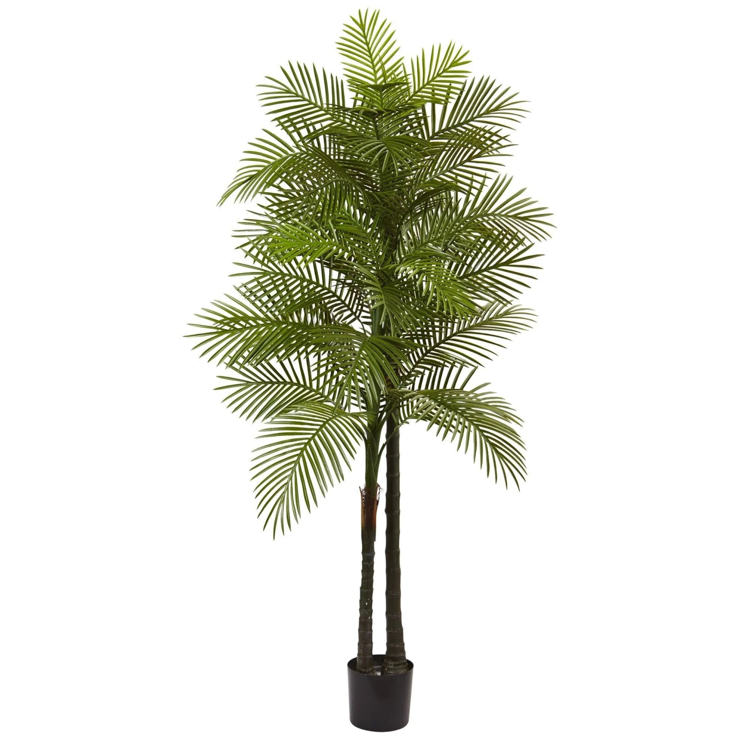 7’ Double Robellini Palm Tree UV Resistant (Indoor/Outdoor) 3 7’ Double Robellini Palm Tree UV Resistant (Indoor/Outdoor)