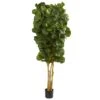 7’ Fiddle Leaf Fig Artificial Tree Beige Trunk 2 7’ Fiddle Leaf Fig Artificial Tree Beige Trunk -Artificial Flowers Sale artificial 7 fiddle leaf fig artificial tree nearly natural 686770